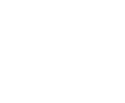 BLUE WAVE Logo