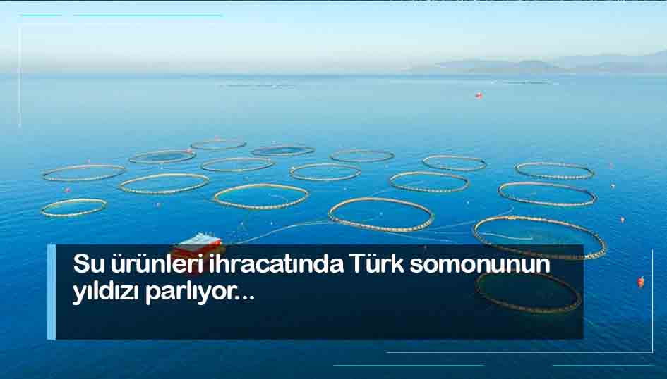Su ürünleri ihracatında Türk somonunun yıldızı parlıyor