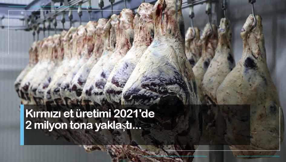 Kırmızı et üretimi 2021'de 2 milyon tona yaklaştı