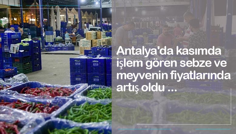 Antalya'da kasımda işlem gören sebze ve meyvenin fiyatlarında artış oldu...