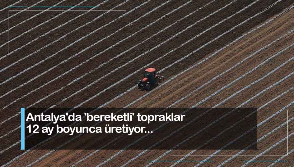 Antalya'da 'bereketli' topraklar 12 ay boyunca üretiyor