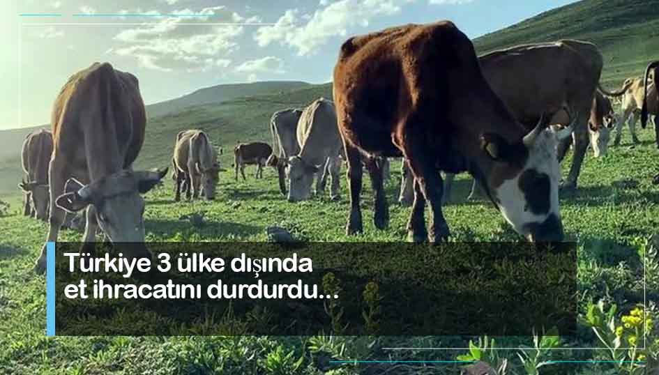 Türkiye 3 ülke dışında et ihracatını durdurdu