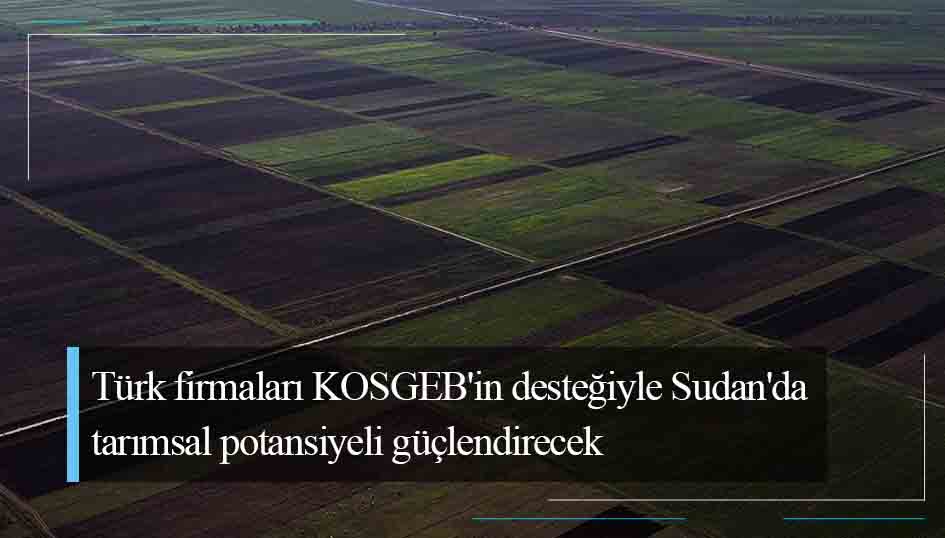 Türk firmaları KOSGEB'in desteğiyle Sudan'da tarımsal potansiyeli güçlendirecek